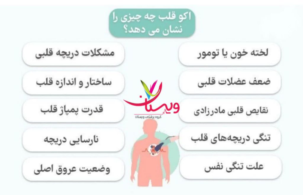 کاربردهای اکوکاردیوگرافی